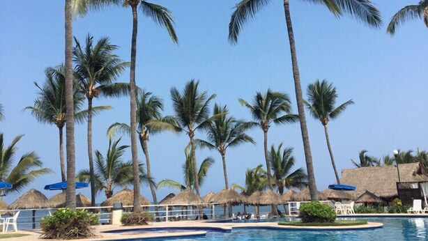 Zona de piscina con palmeras, sillas de descanso y un cielo azul despejado.