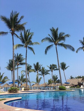 A pool area with palm trees, lounge chairs, and a clear blue sky.