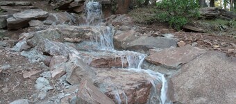 Log Cabin in the Pines, Treehouse with Swinging Bridge, beautiful stream nearby