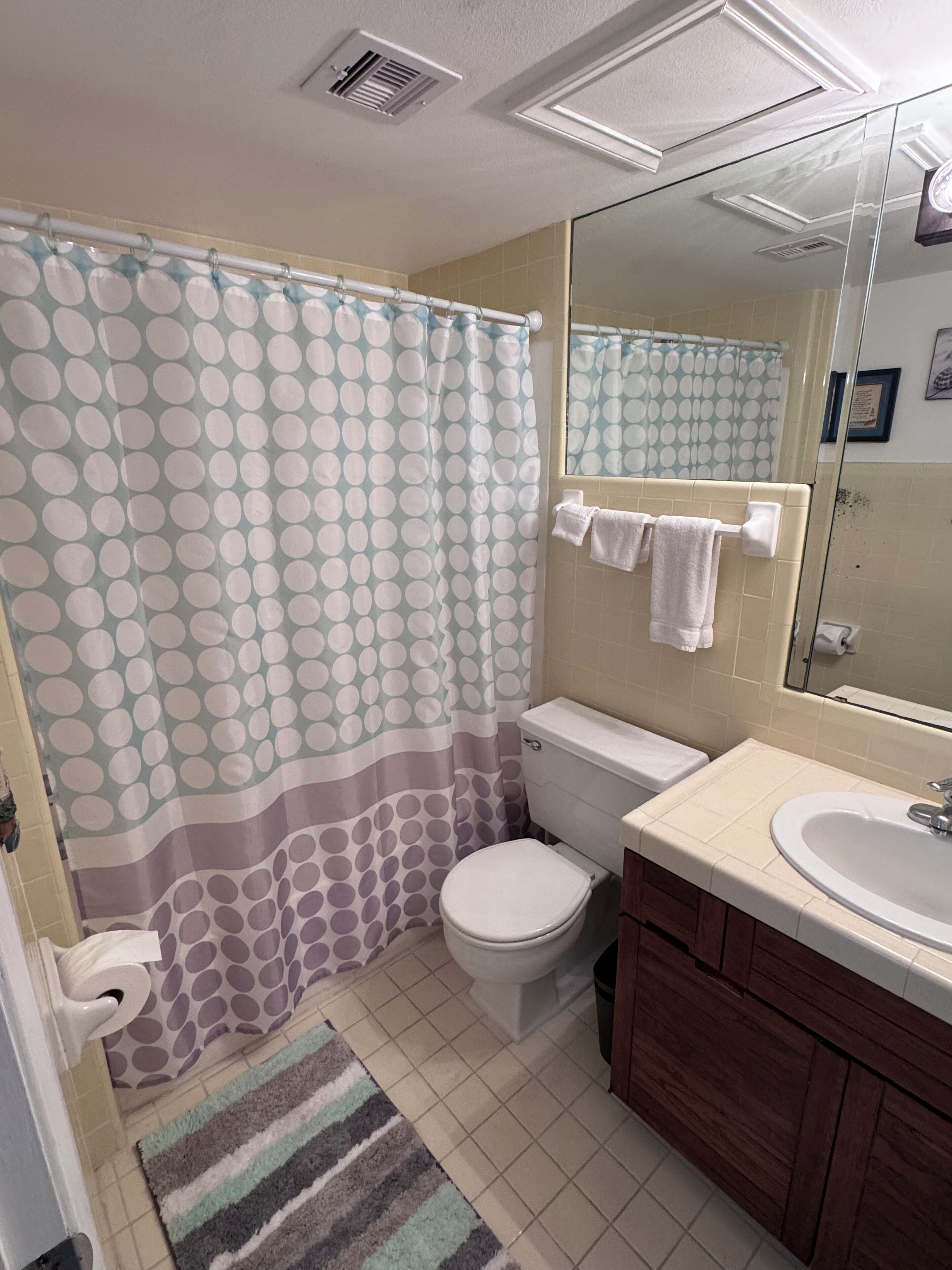 A bathroom with a toilet, sink, and shower curtain.