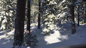 A snowy forest scene with tall trees and a snow-covered ground. - Tahoe City Cabin~Spectacular Lake View! Walk to Lake and City * WIFI* (Tahoe City)