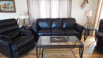 TV, fireplace, DVD player, books