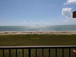 Property grounds - On Beach and Close to Fun! - Monthly and Weekly Discounts (Corpus Christi)