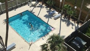 A rectangular swimming pool with a tiled deck, surrounded by lounge chairs and palm trees.