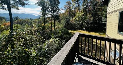 Henkeäsalpaavat vuoristomaisemat, lähellä kaikkea, joka on vielä metsässä