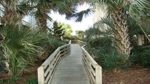 A wooden boardwalk surrounded by palm trees and dense foliage.