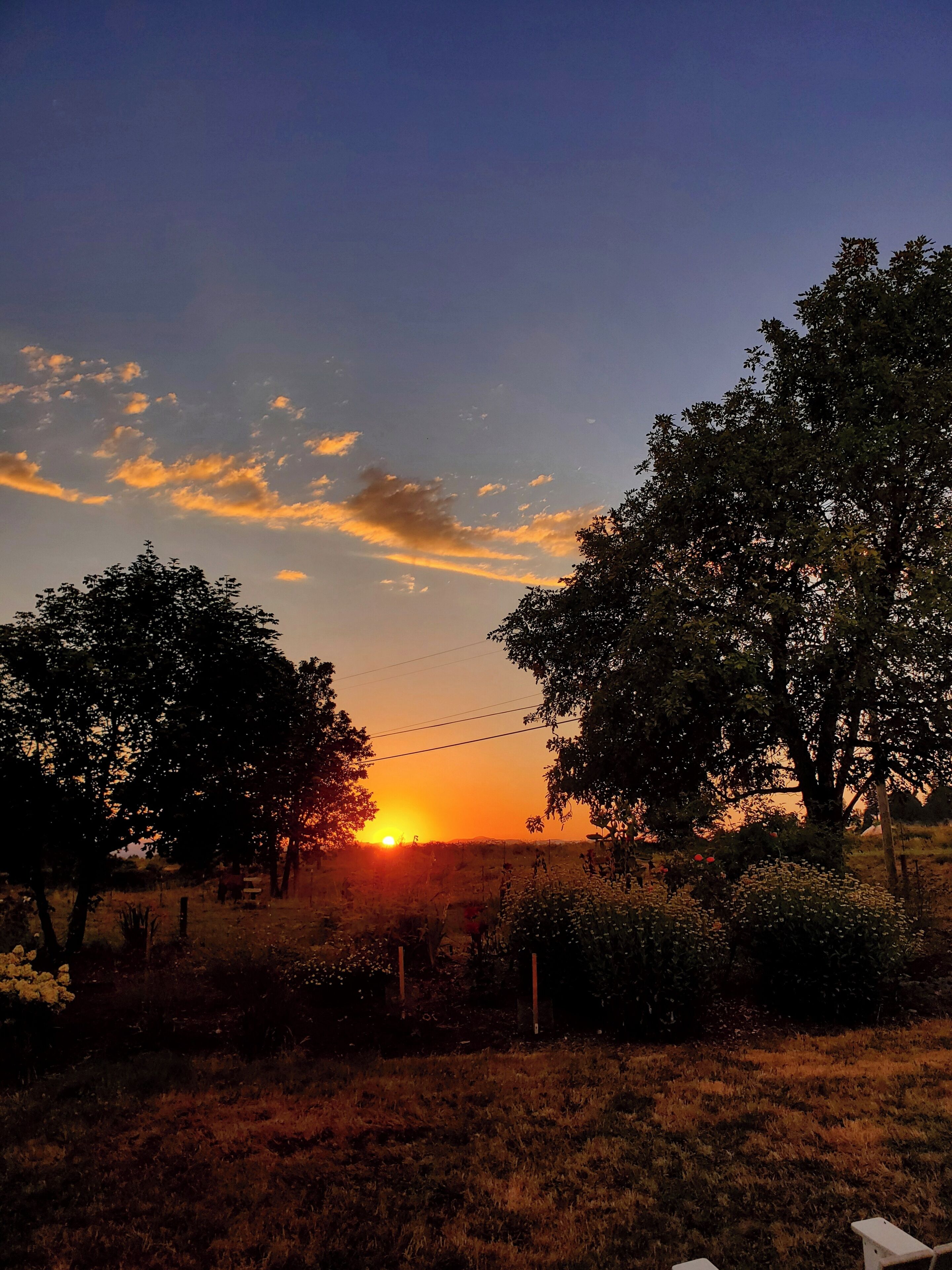 Un coucher de soleil avec des arbres et un champ.