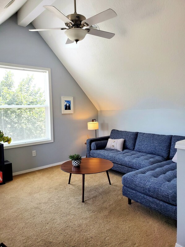 TV, DVD player, books, video library