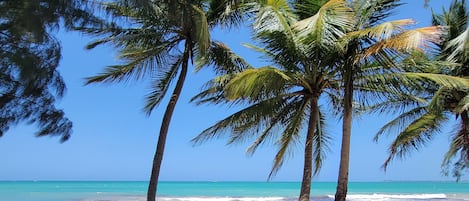 Ubicación a pie de playa y toallas de playa