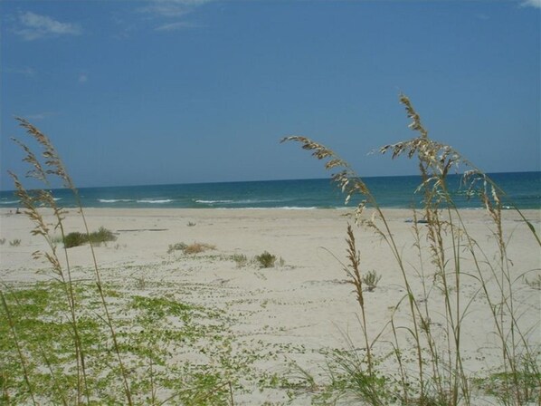 Enjoy a serene beach experience with calm ocean views and soft sandy shores.