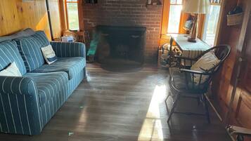 TV connectée, cheminée, lecteur de DVD, livres