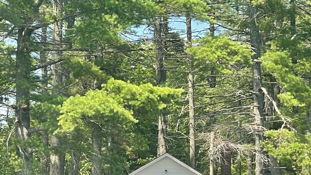 A houseboat with a dock, surrounded by trees. - Peaceful Lakefront Retreat with Views (Newfield)