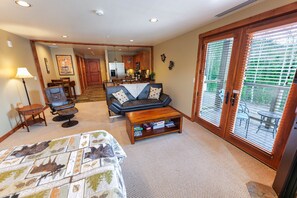 TV connectée, cheminée, lecteur de DVD, livres