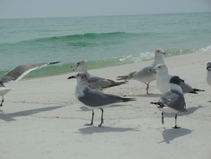 Aan het strand