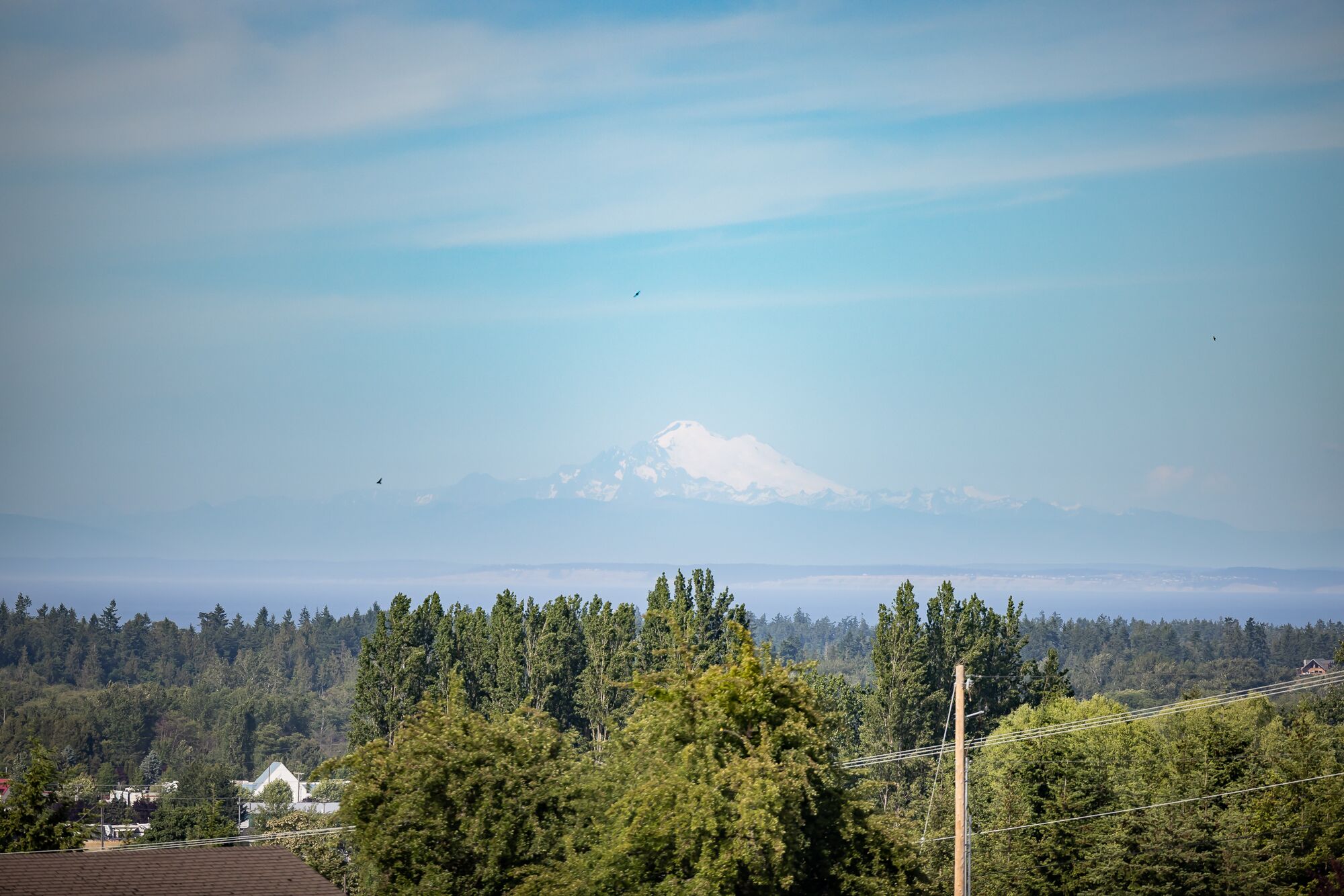 Sequim - Water and Mountain View - Charming Cottage Farm Setting
