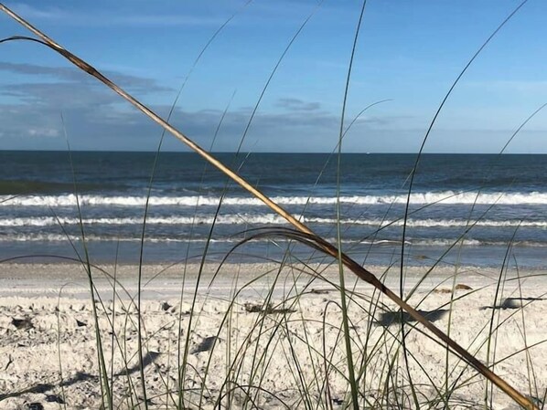 Ein Strand mit Wellen und Gräsern im Vordergrund.