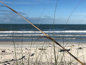A beach with waves, sand, and grass. - Pass-a-Grille Gulf Front Cottage, Ocean View (St Pete Beach)
