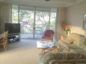 Living Room and outside view