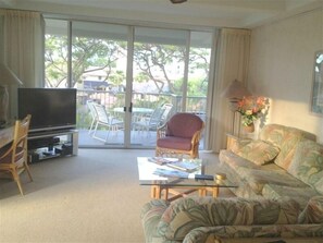 TV, DVD player, stereo