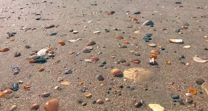 Turtle Time - 4 Bd House lähellä Holden Beach - paeta väkijoukkoja!