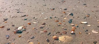 Turtle Time - 4 Bd House Nær Holden Beach - undslippe folkemængderne!