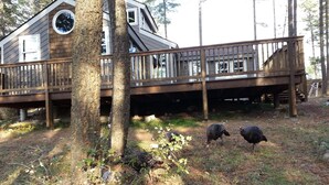 Une cabane rustique dotée d’une terrasse en bois et d’un espace couvert en dessous.