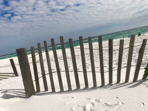 Plage, chaises longues