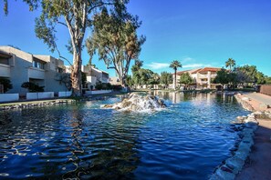 Property grounds - LAKEFRONT! RAVE REVIEWS!   waterfalls,creek,walking trails, wildlife (Phoenix)