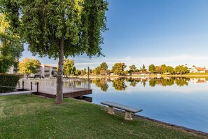 Property grounds - LAKEFRONT! RAVE REVIEWS!   waterfalls,creek,walking trails, wildlife (Phoenix)