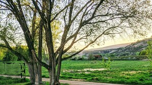 A glass-top table with metal stools on a wooden deck, overlooking a grassy field with trees and a distant house. - Visit award winning wineries in our valley in tricked out Yurt on the NF River. (Hotchkiss)