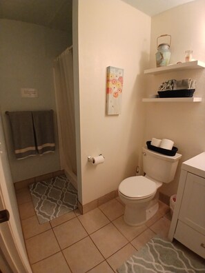Ensemble douche/baignoire, sèche-cheveux, serviettes fournies, savon