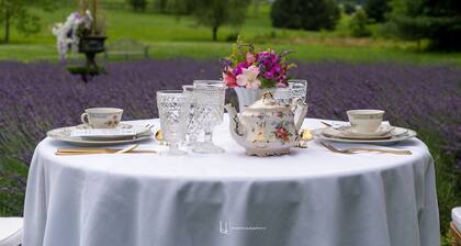 Koe viehättävä LeFay-mökki Little Washingtonissa