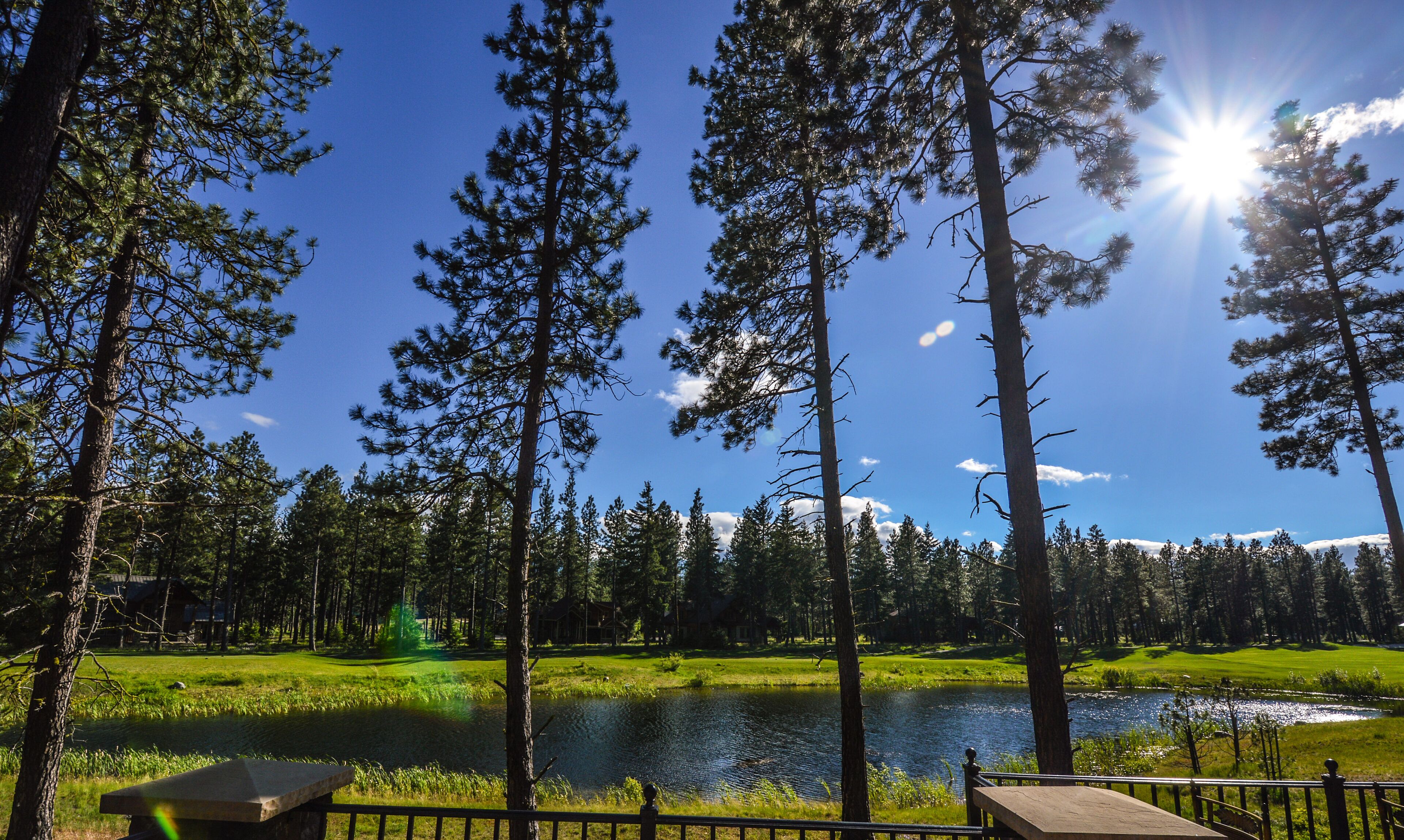 A lakeside view with tall pine trees, a clear sky, and a wooden deck.