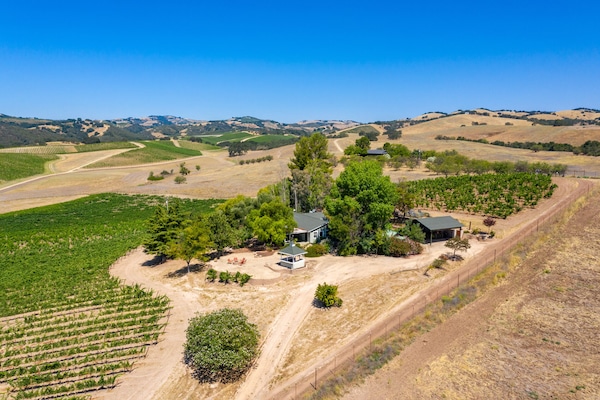 Bird's Eye View on a Hot Summer Day