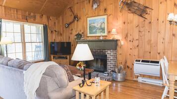 Smart TV, lareira, DVD player, livros