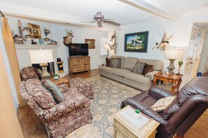 Smart TV, chimenea y libros 