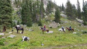 Unclassified image, 5 of 61, button