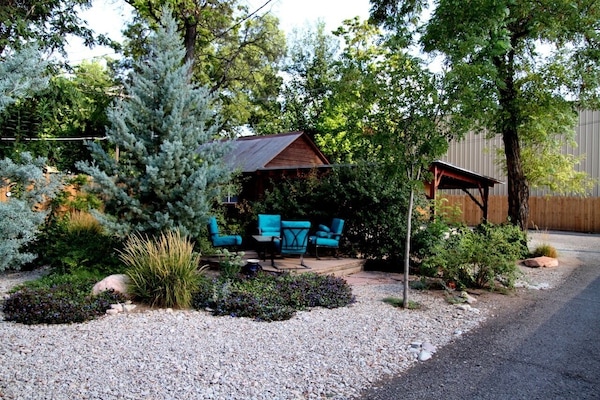 The back yard is huge