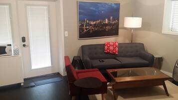 TV, DVD player, books, video library