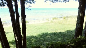 Une vue d’une plage, avec des arbres au premier plan et la mer en arrière-plan.