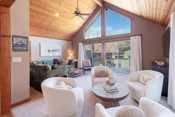 Smart TV, fireplace, books, stereo