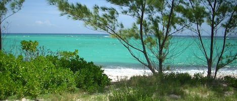 Nära stranden och strandhanddukar