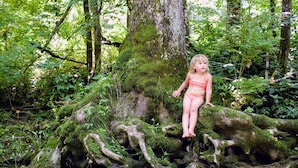 Un niño sentado en una rama de árbol cubierta de musgo en un bosque.