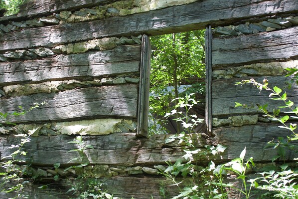 Una cabaña rústica de troncos con base de piedra y puerta de madera.