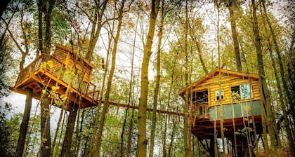 The Aliyah Treehouse with swinging bridge +285 acres hiking trails 