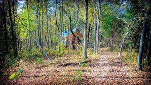 Una cabaña en un bosque, con vistas despejadas de los árboles circundantes y un sendero que lleva a ella.