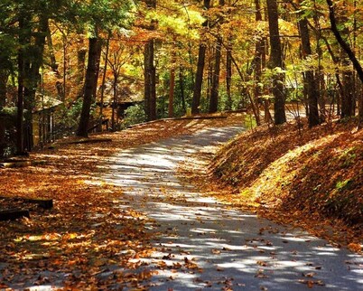 Couples Retreat with Hot Tub, Lake & Mountain Views in Big Canoe Luxury Resort