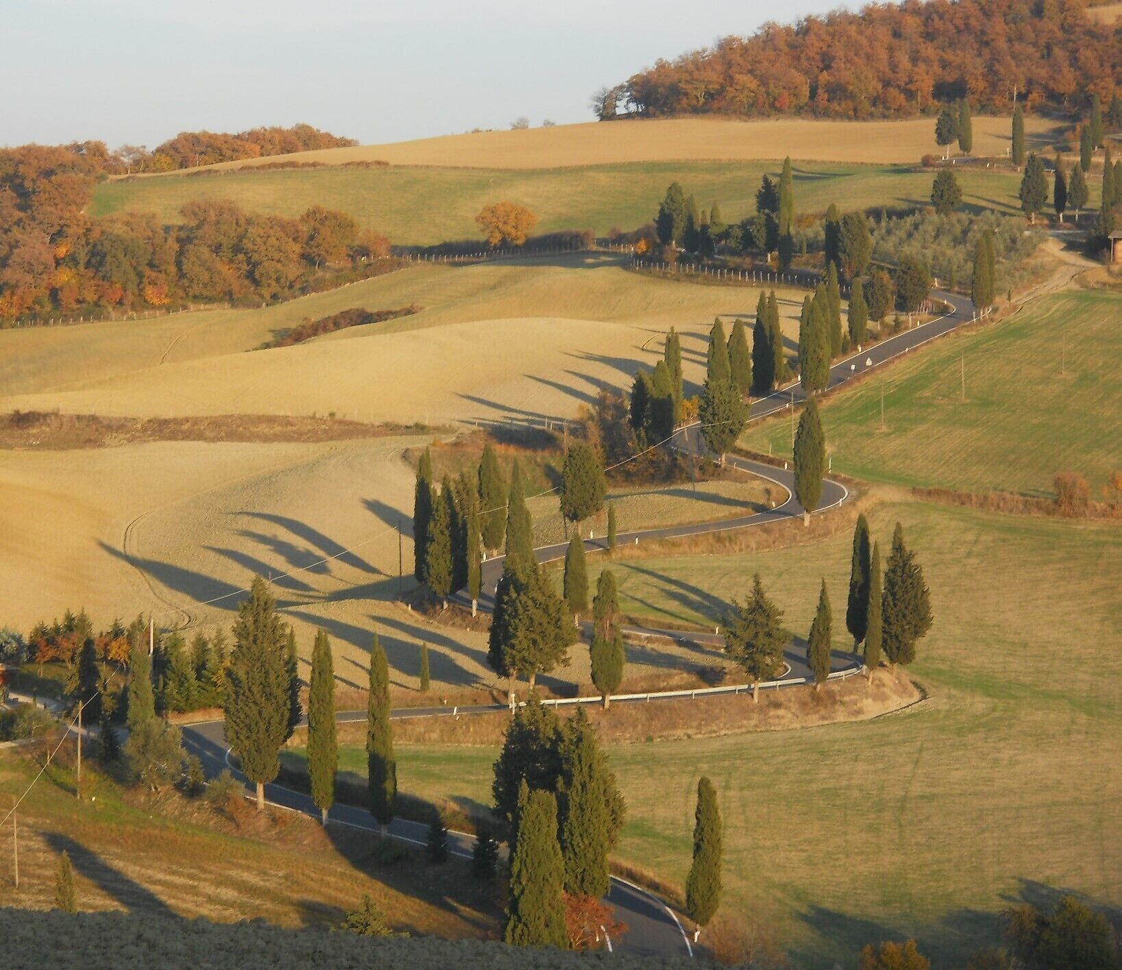 An aerial view of a rural landscape with rolling fields, a winding road, and scattered trees.