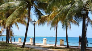 Un paseo marítimo bordeado de palmeras y vistas al océano.