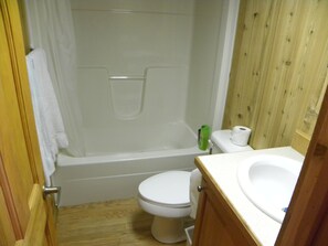 Combined shower/bathtub, hair dryer, towels, soap